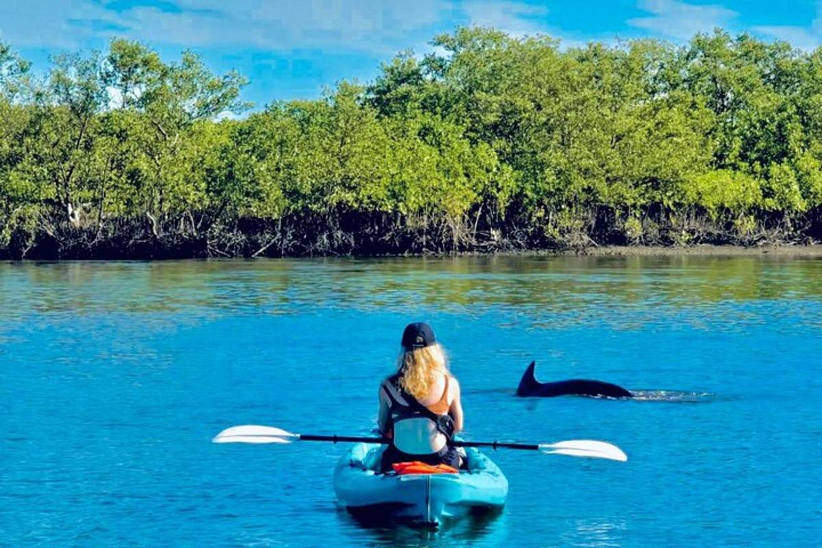 seorang wanita dalam kayak dengan ikan lumba-lumba di dalam air