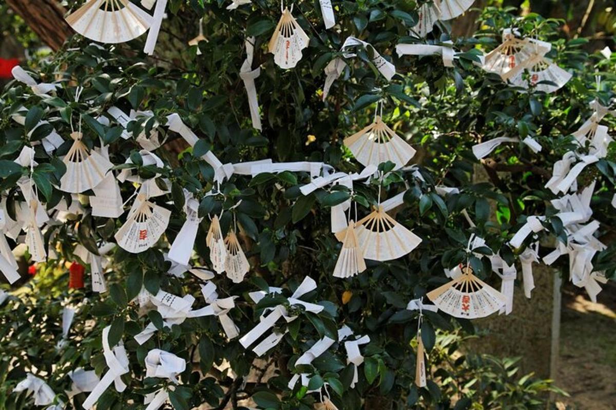 eine Gruppe von Papierschirmen, die von einem Baum hängen