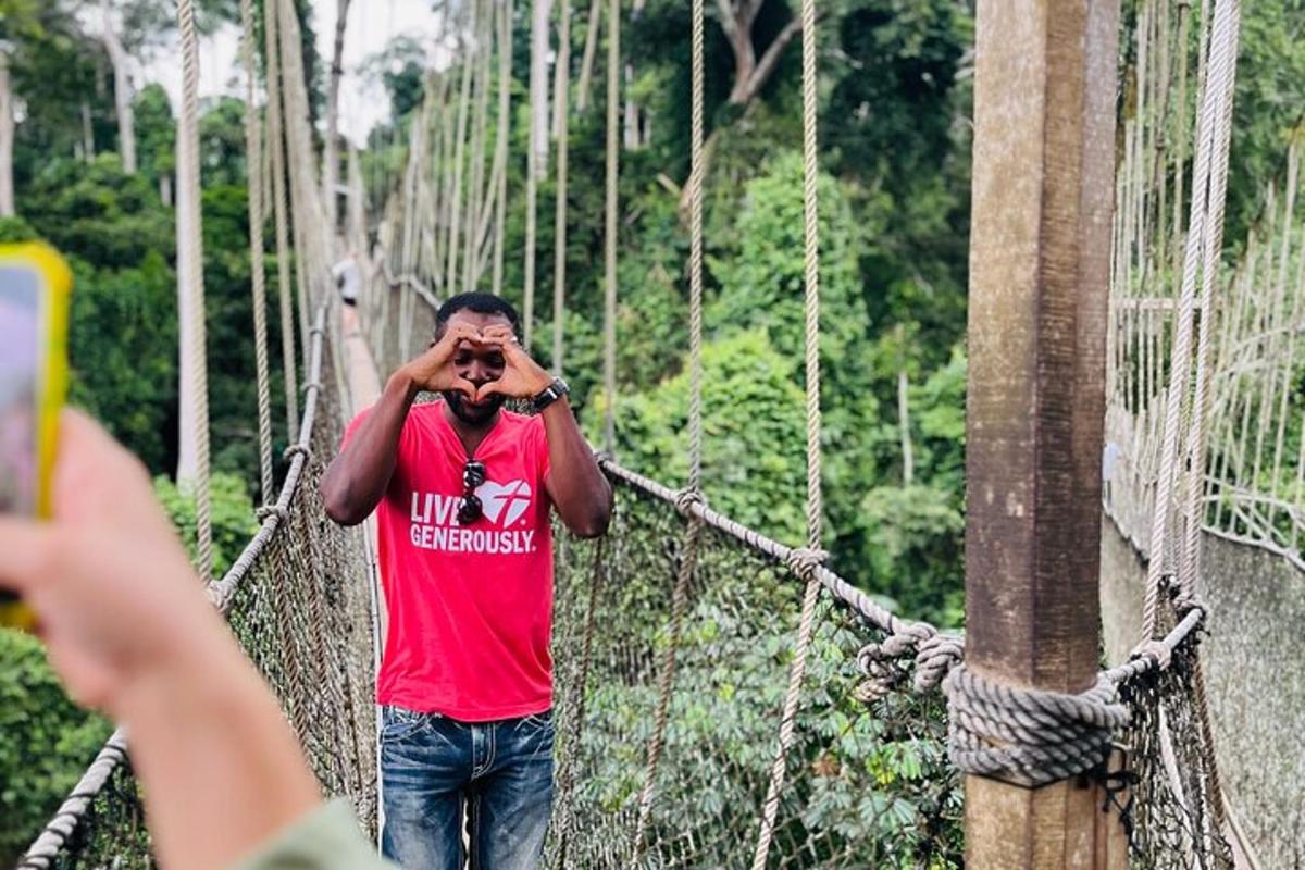 a man on a suspension bridge in the forest