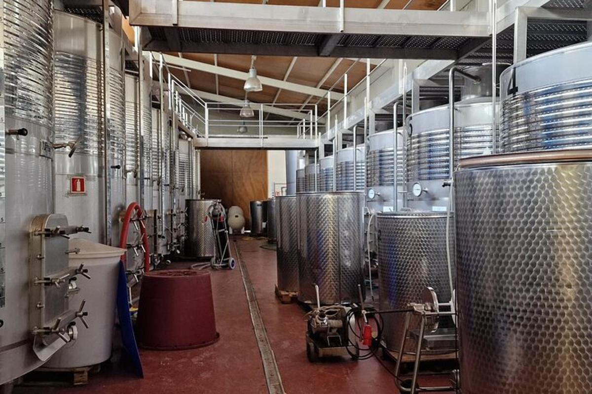 ein großer Raum mit vielen Tanks in einer Brauerei