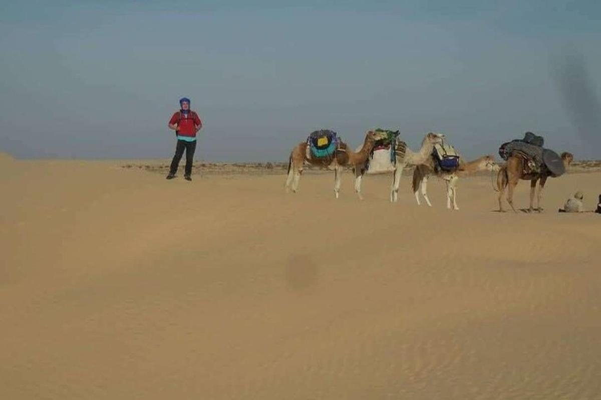 一名男子站在沙漠中的一群骆驼前