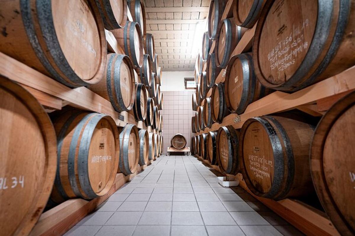 une rangée de tonneaux de vin dans une cave à vin
