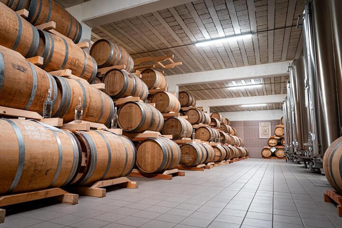 una grande stanza piena di botti di legno