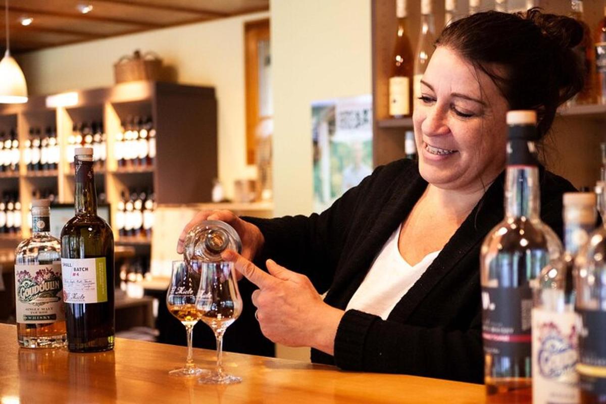 una donna seduta al bar che versa un bicchiere di vino