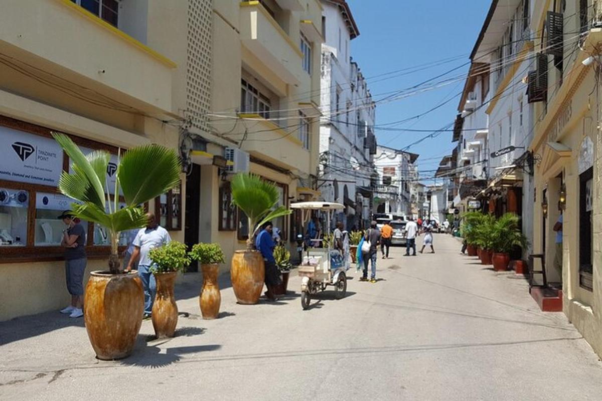 ljudje, ki hodijo po mestni ulici z lončnicami