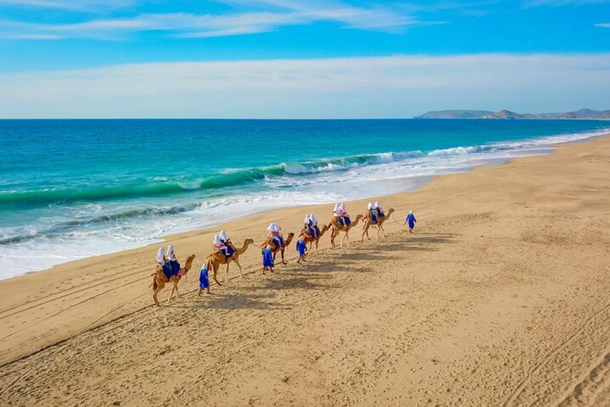 a group of people riding horses on the beach