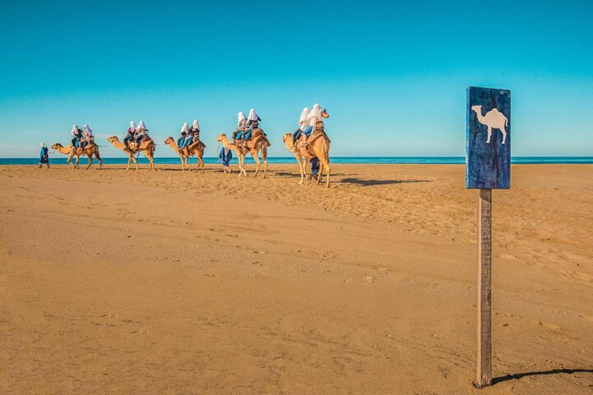 een groep mensen die op kamelen op het strand rijden