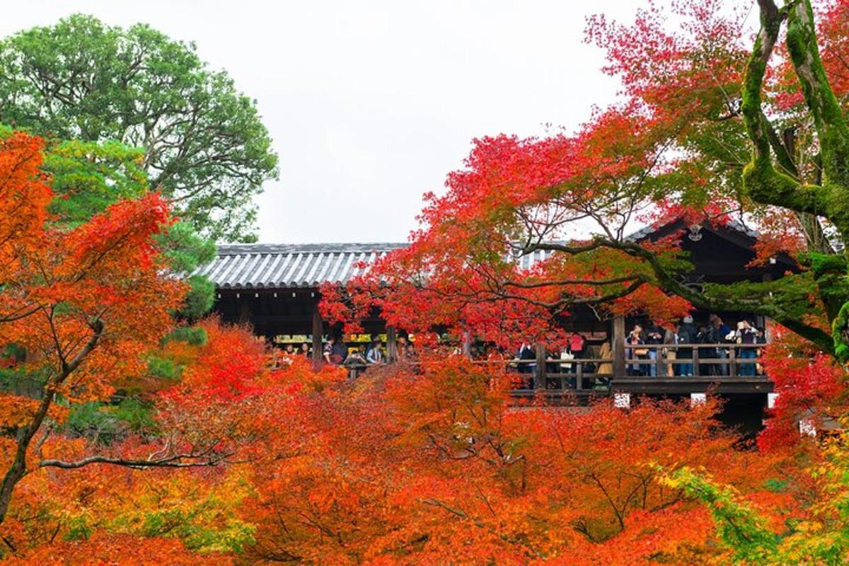 a building with colorful trees in front of it
