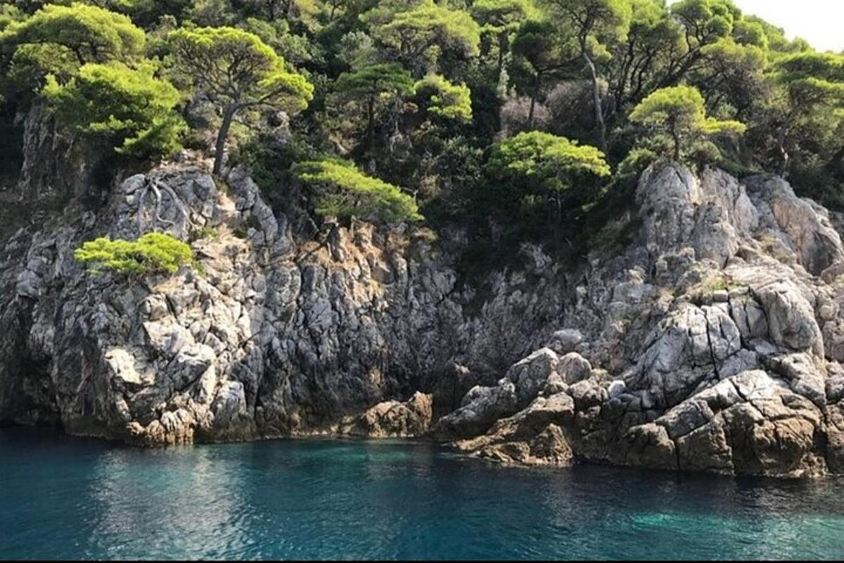 uma encosta rochosa com árvores e água azul