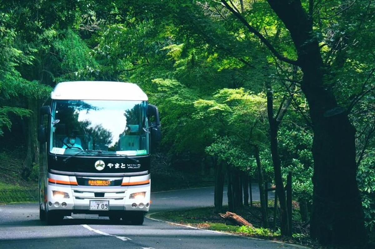 un autobús circula per una carretera amb arbres