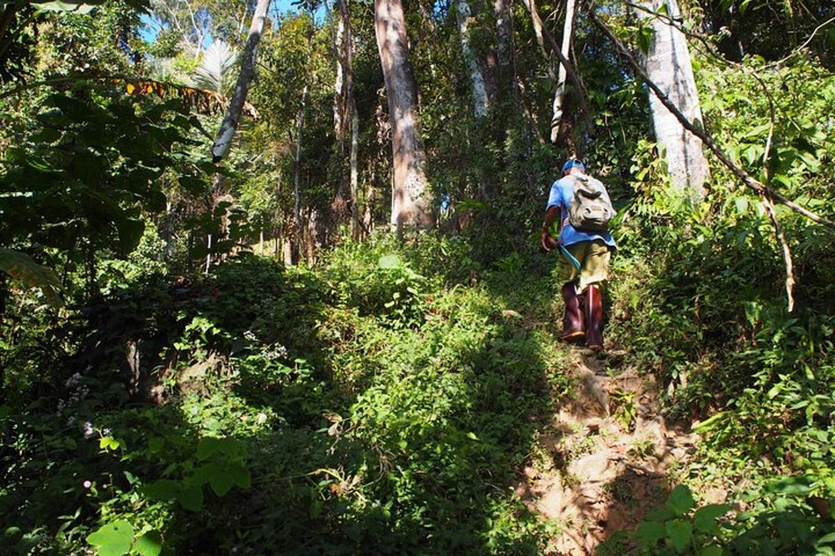 un uomo che cammina su un sentiero nel bosco