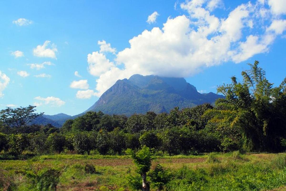una montagna in mezzo a un campo con alberi