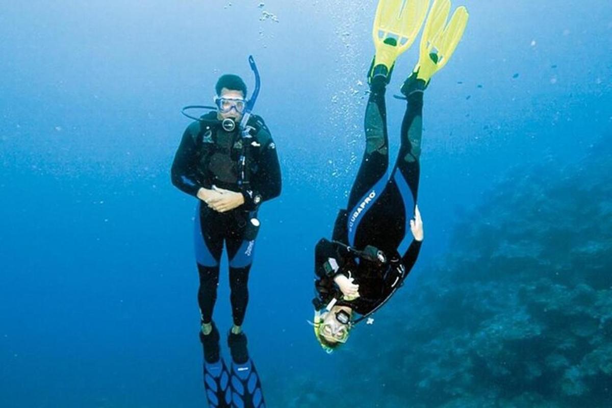 Dos personas están nadando en el agua con esquís.