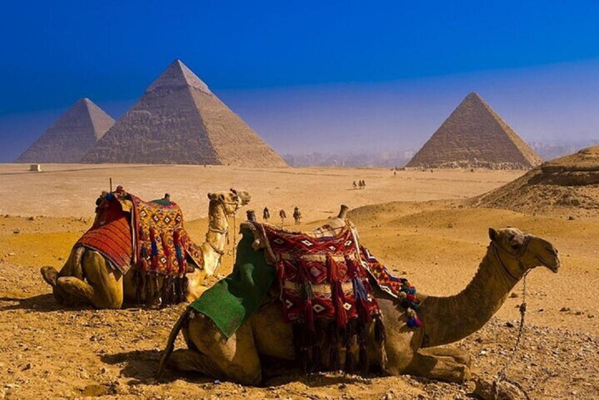 kaksi kamelia istumassa aavikolla pyramidien lähellä