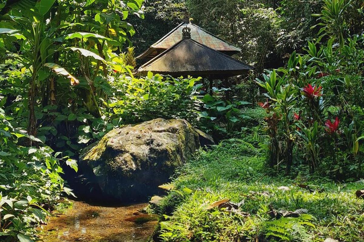 a garden with a gazebo and a rock