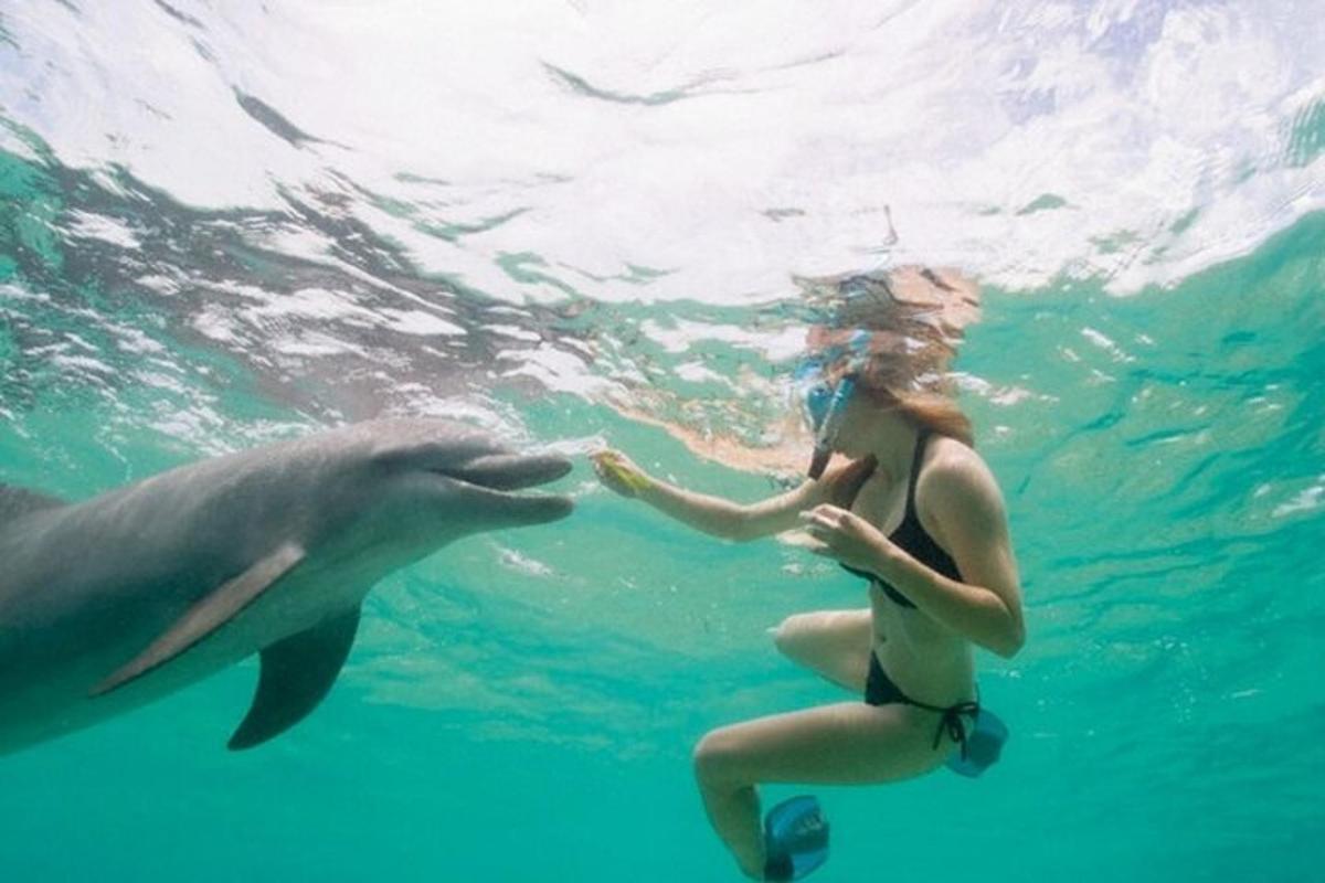 una donna che accarezza un delfino in acqua