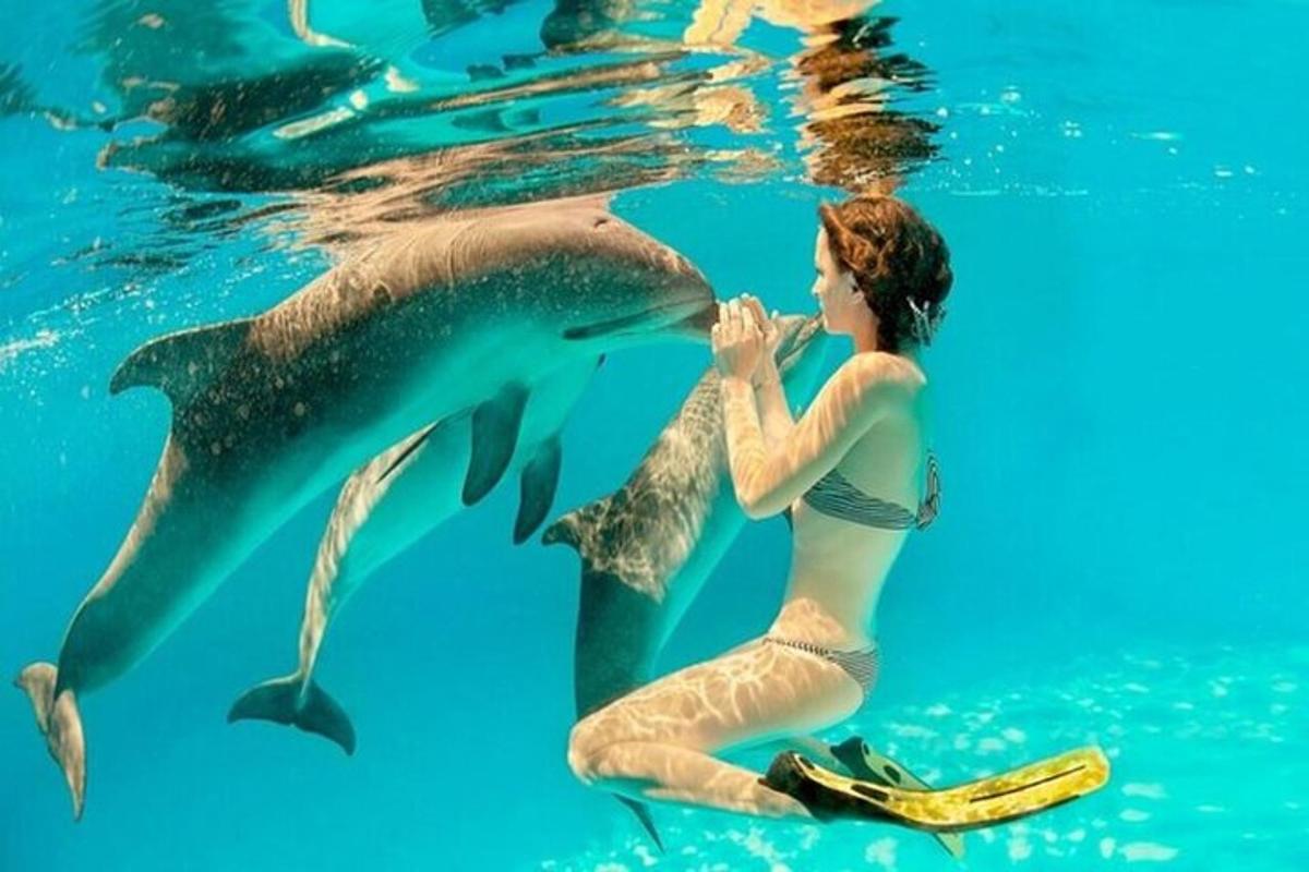 una donna in acqua con un delfino