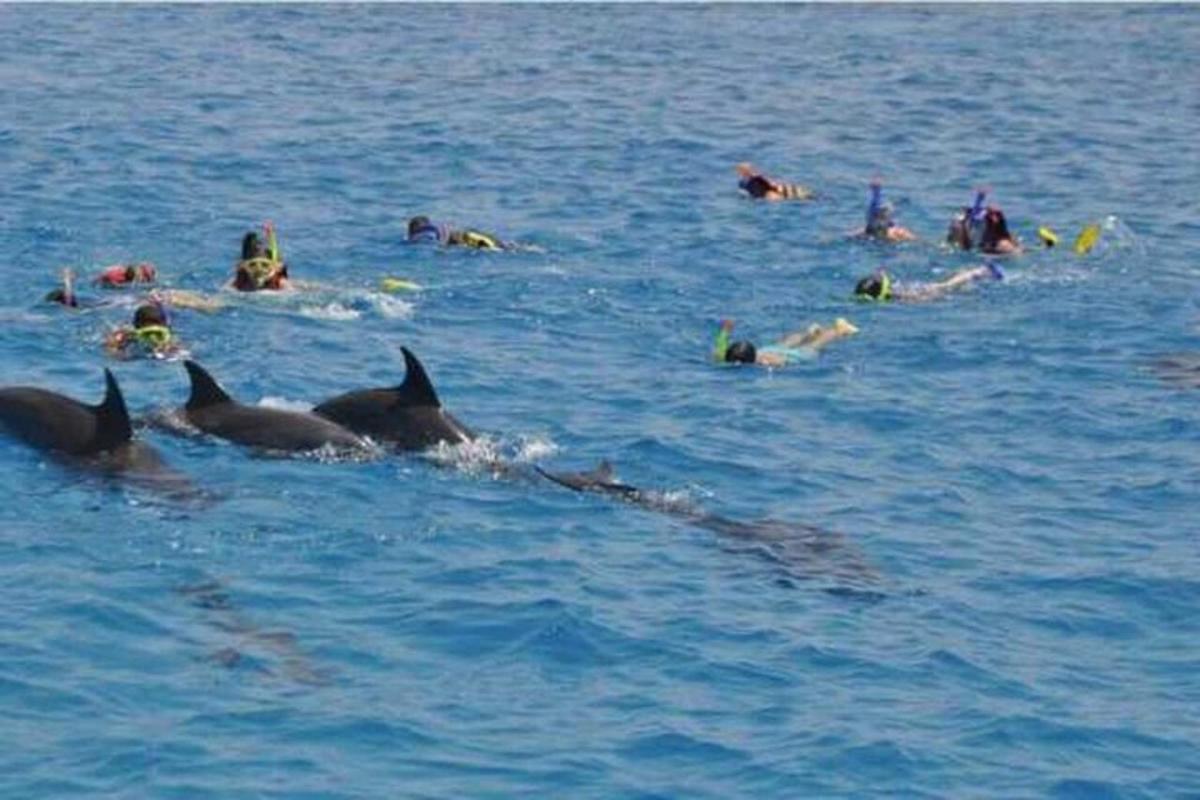 un gruppo di persone che nuotano nell'acqua