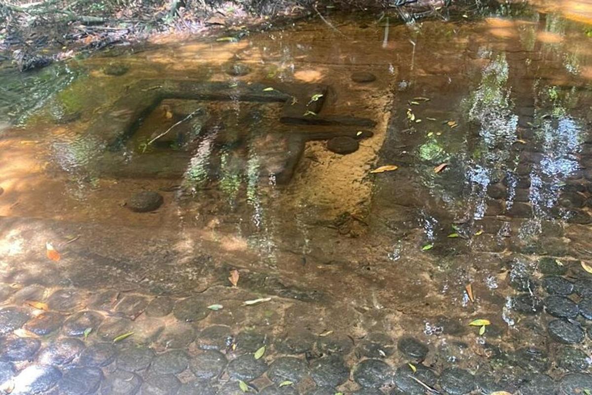 um pouco de água no chão com um pedaço de pau dentro