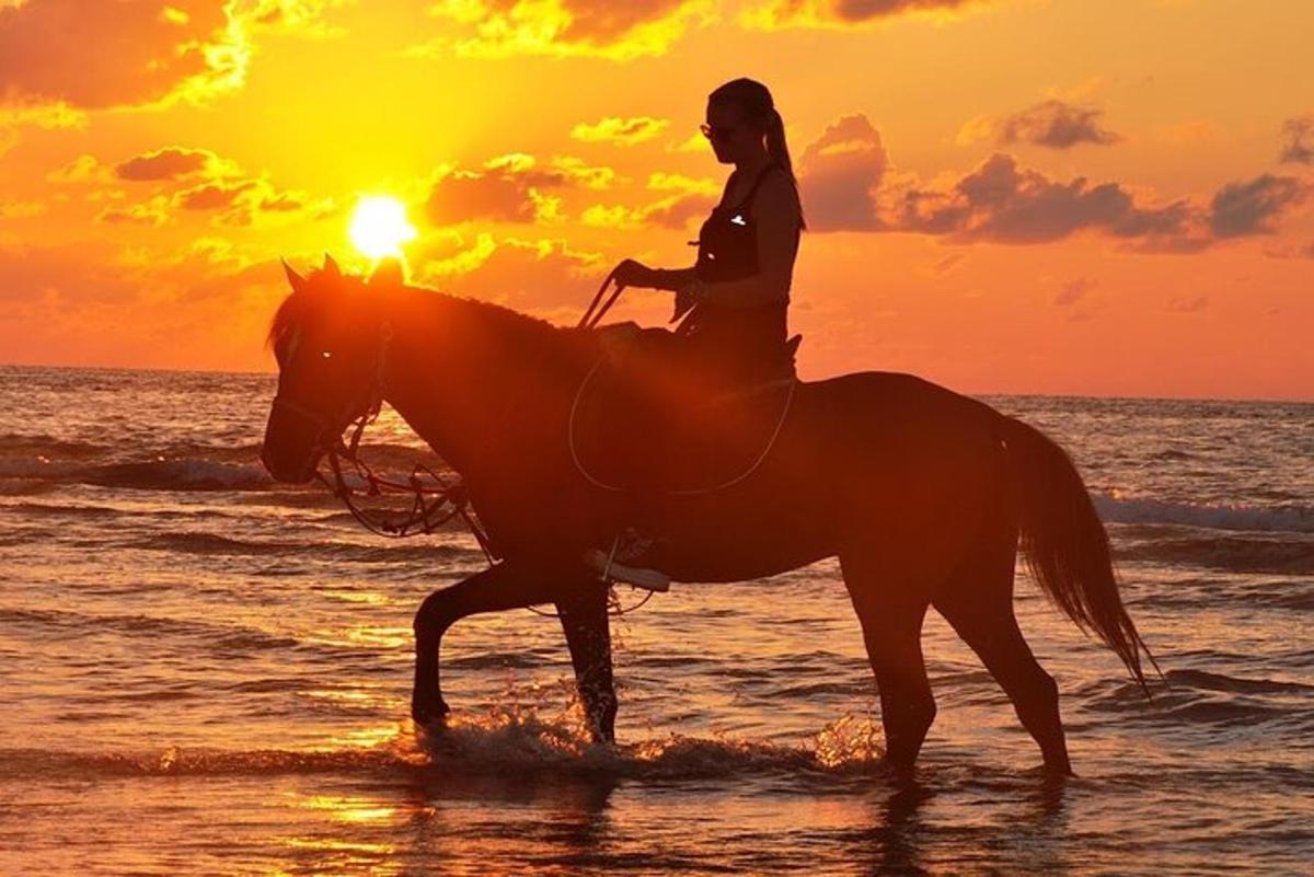 a woman riding a horse on the beach at sunset