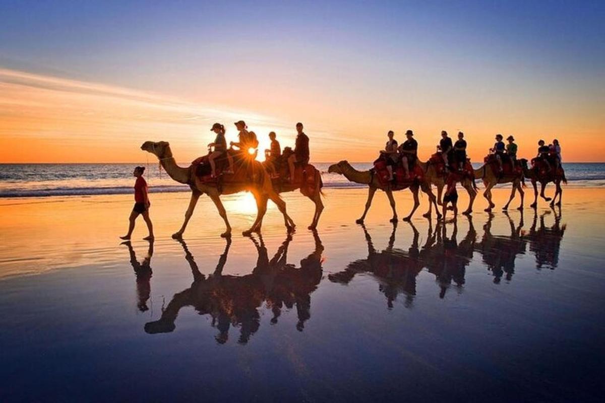 a group of people riding camels on the beach
