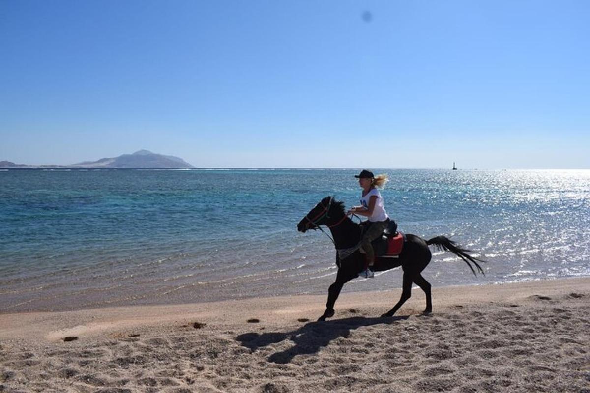 une femme à cheval sur la plage