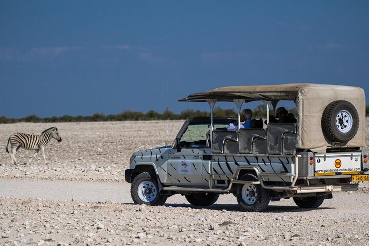 a jeep parked in front of a zebra
