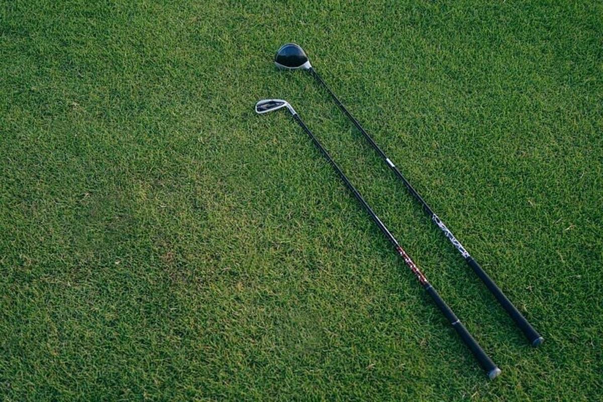 two golf clubs laying on the green grass