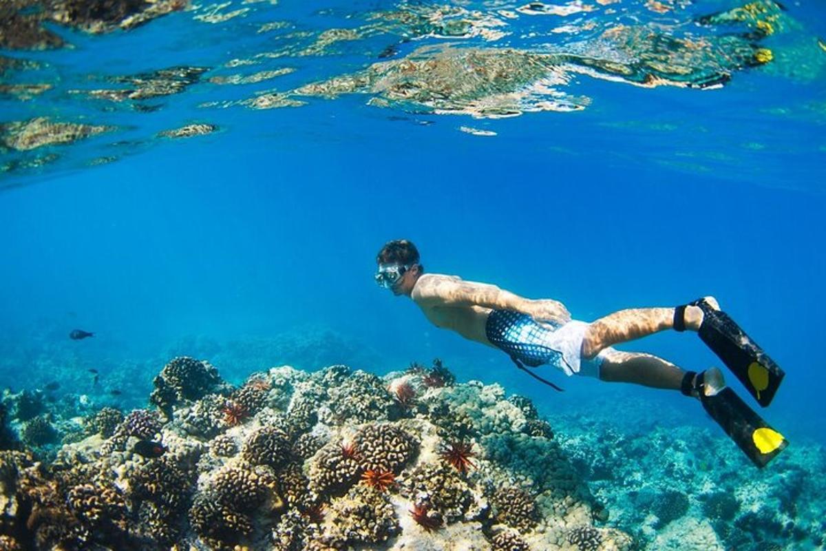moški plava čez koralni greben