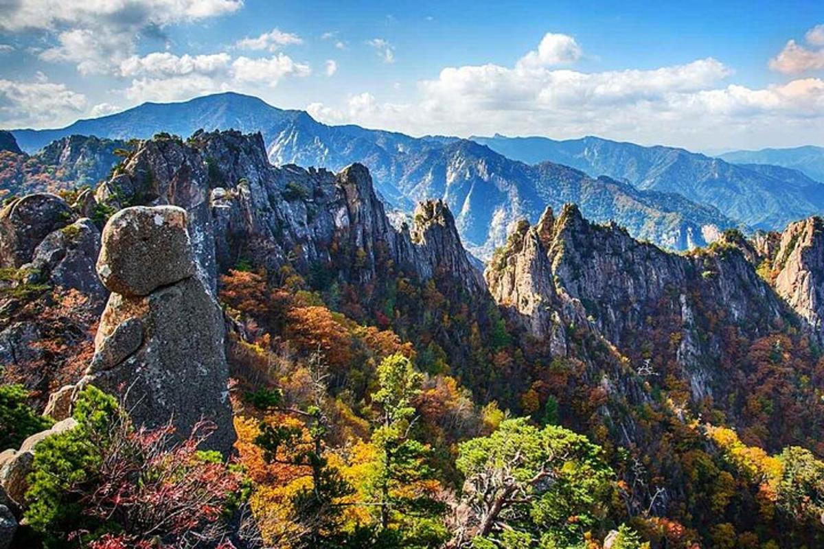 pemandangan gunung dengan pokok dan batu