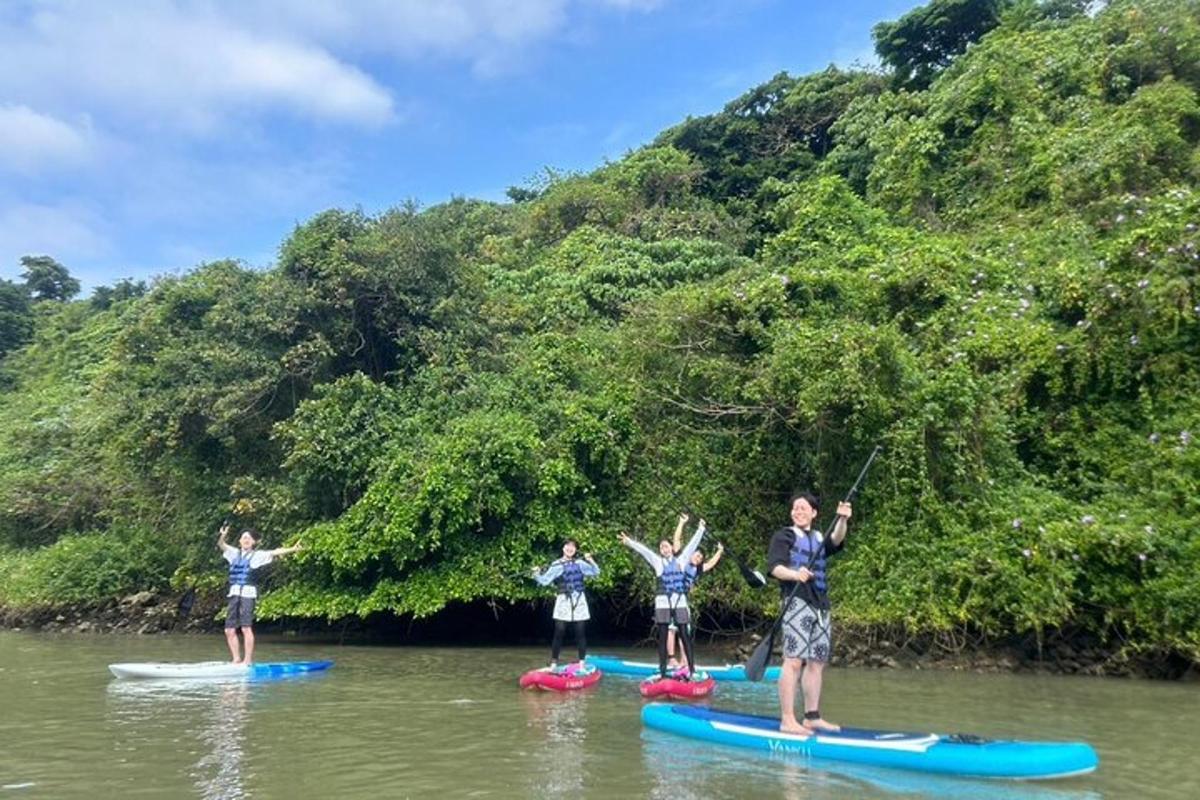 a group of people on paddle boards in the water