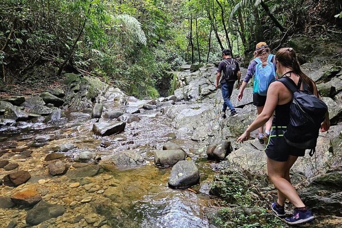 um grupo de pessoas caminhando por um riacho