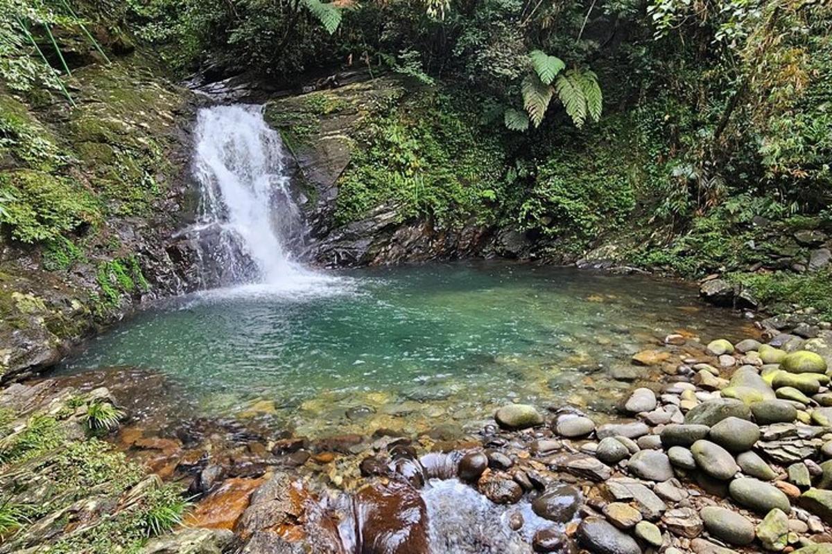 uma cachoeira no meio de uma poça d'água