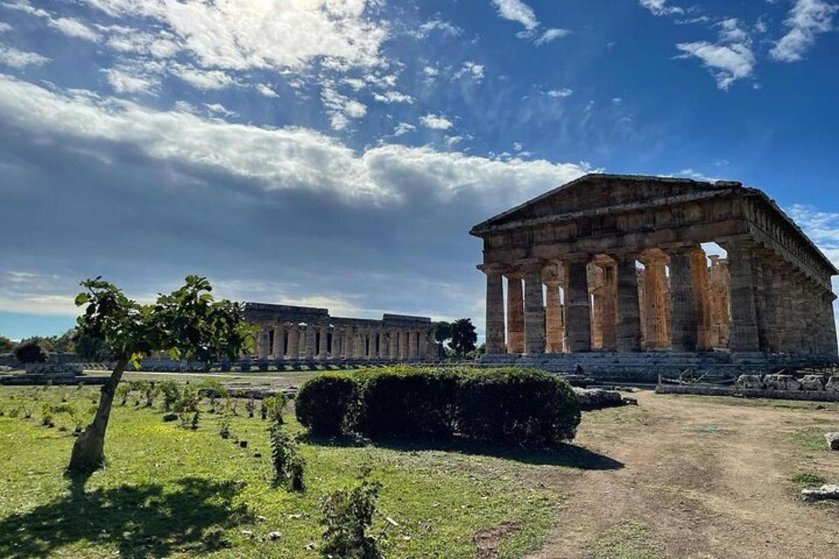 an ancient building with a tree in front of it