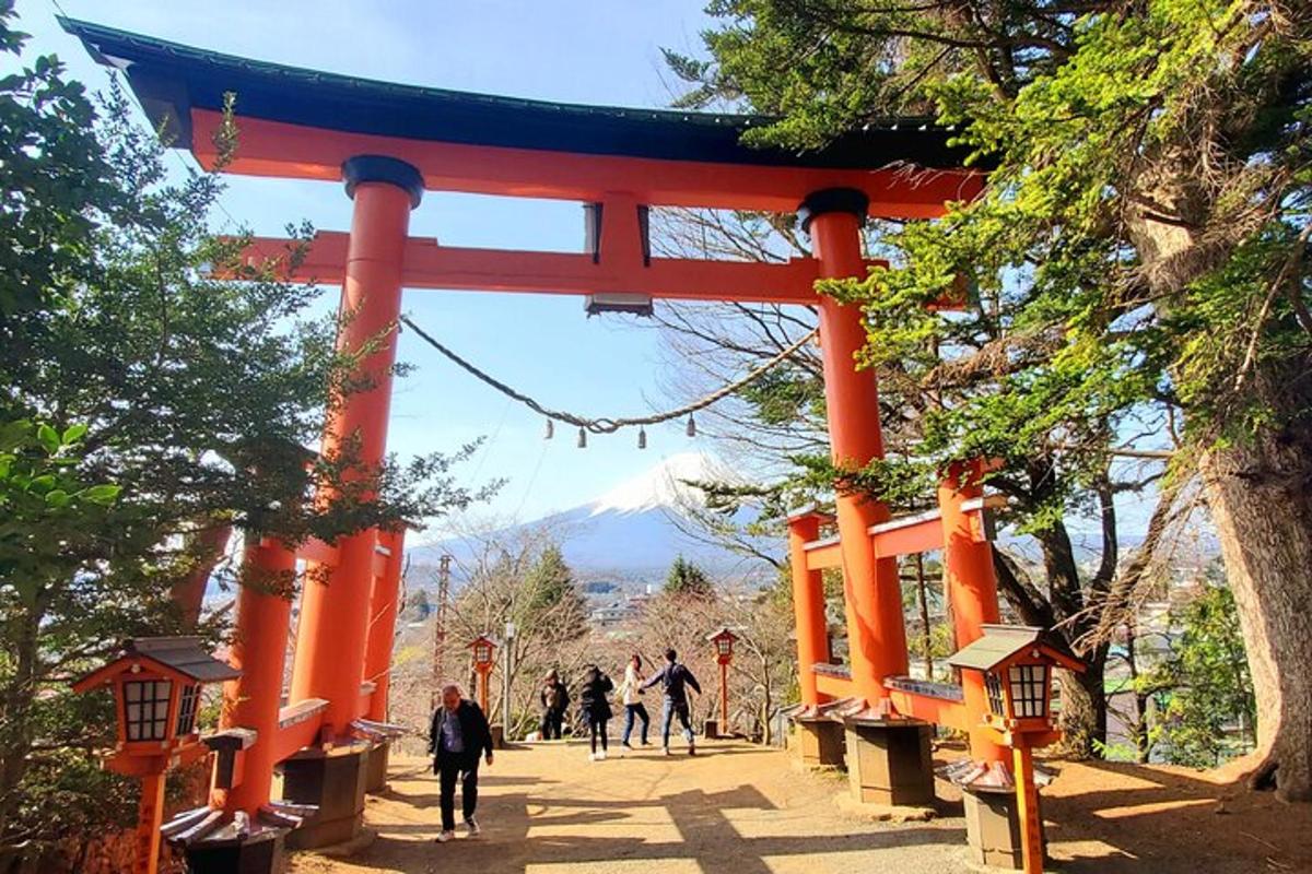una porta torii taronja amb una muntanya al fons