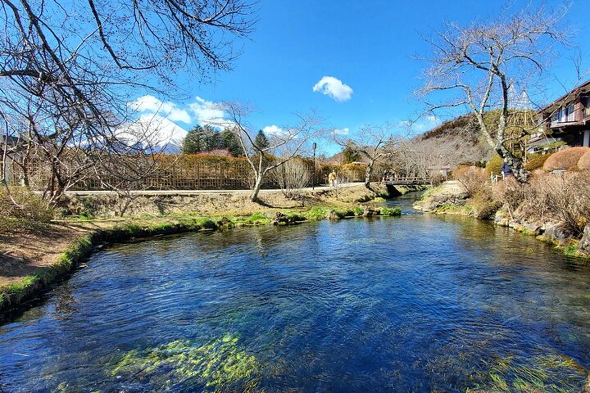 un riu amb aigua blava i arbres al costat
