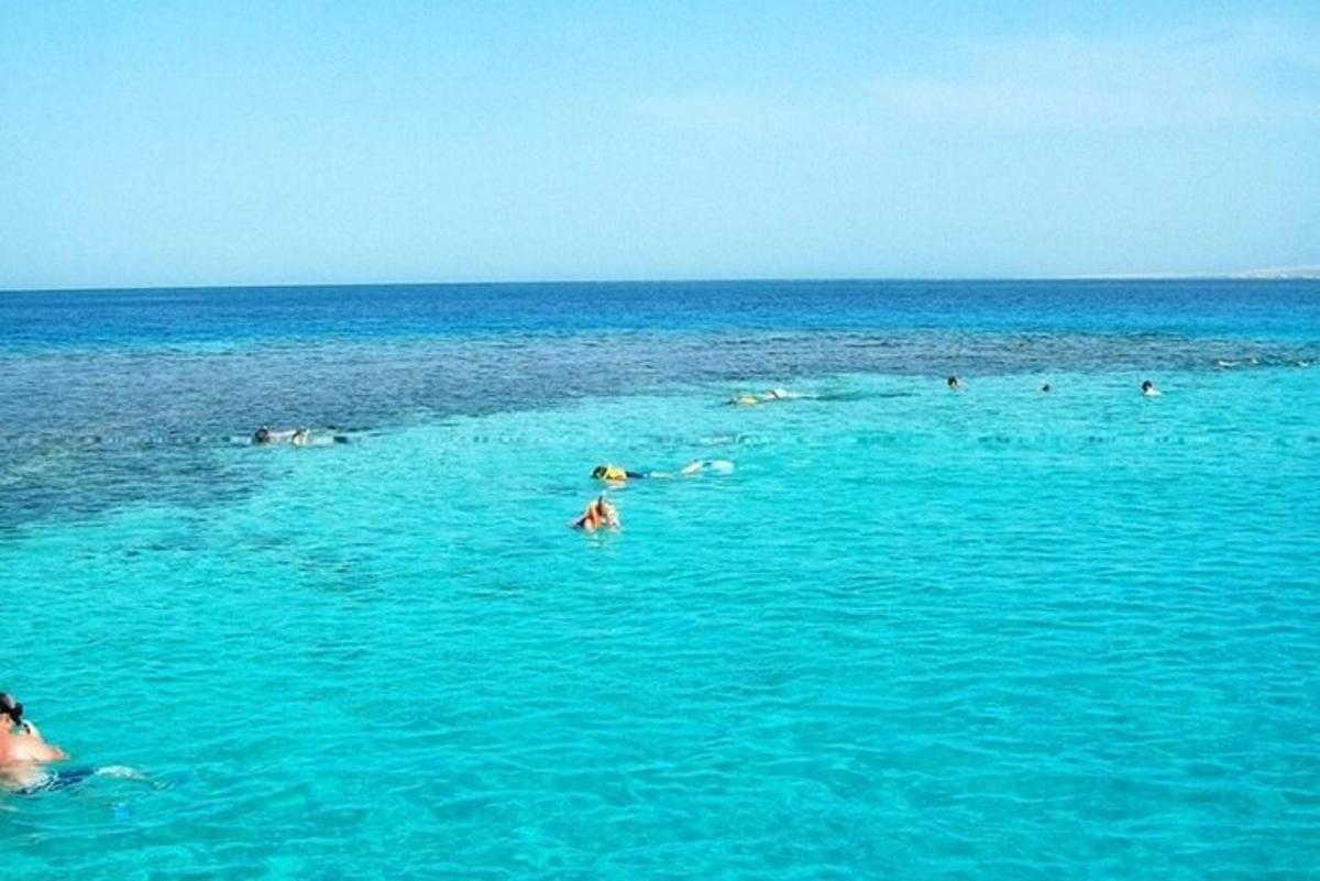 一群人在海里游泳