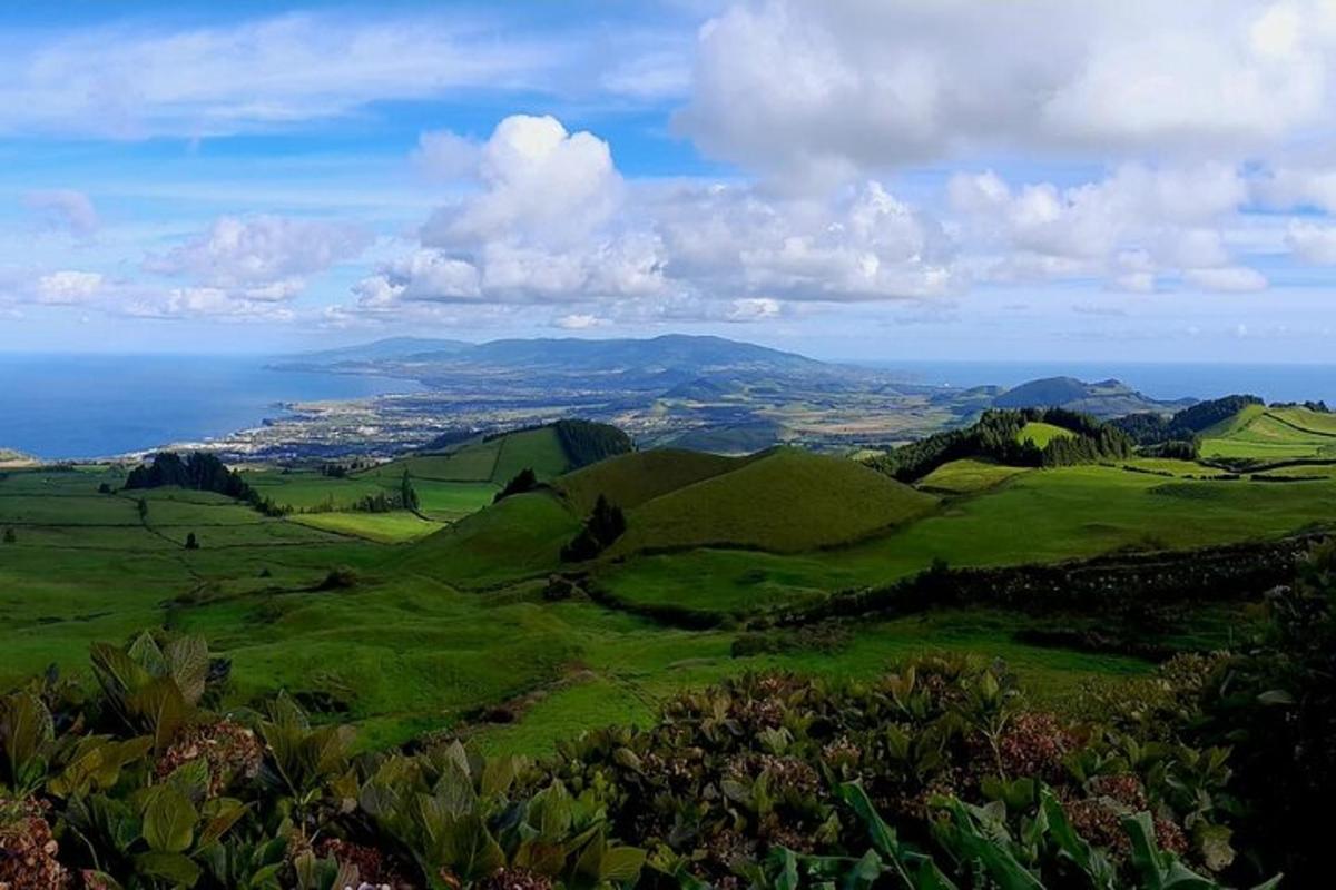 lereng bukit hijau dengan latar belakang lautan