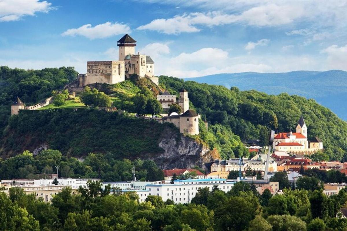 um castelo no topo de uma colina com árvores