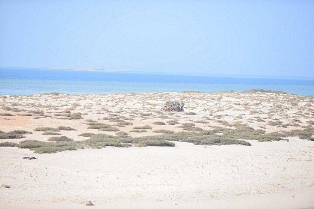 pantai dengan rumput dan pasir serta lautan