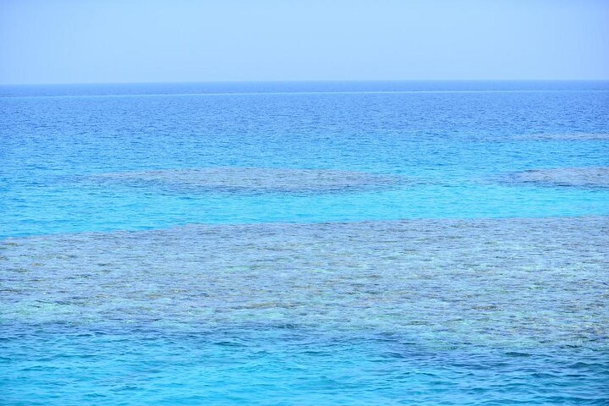 велико тело плаве воде са