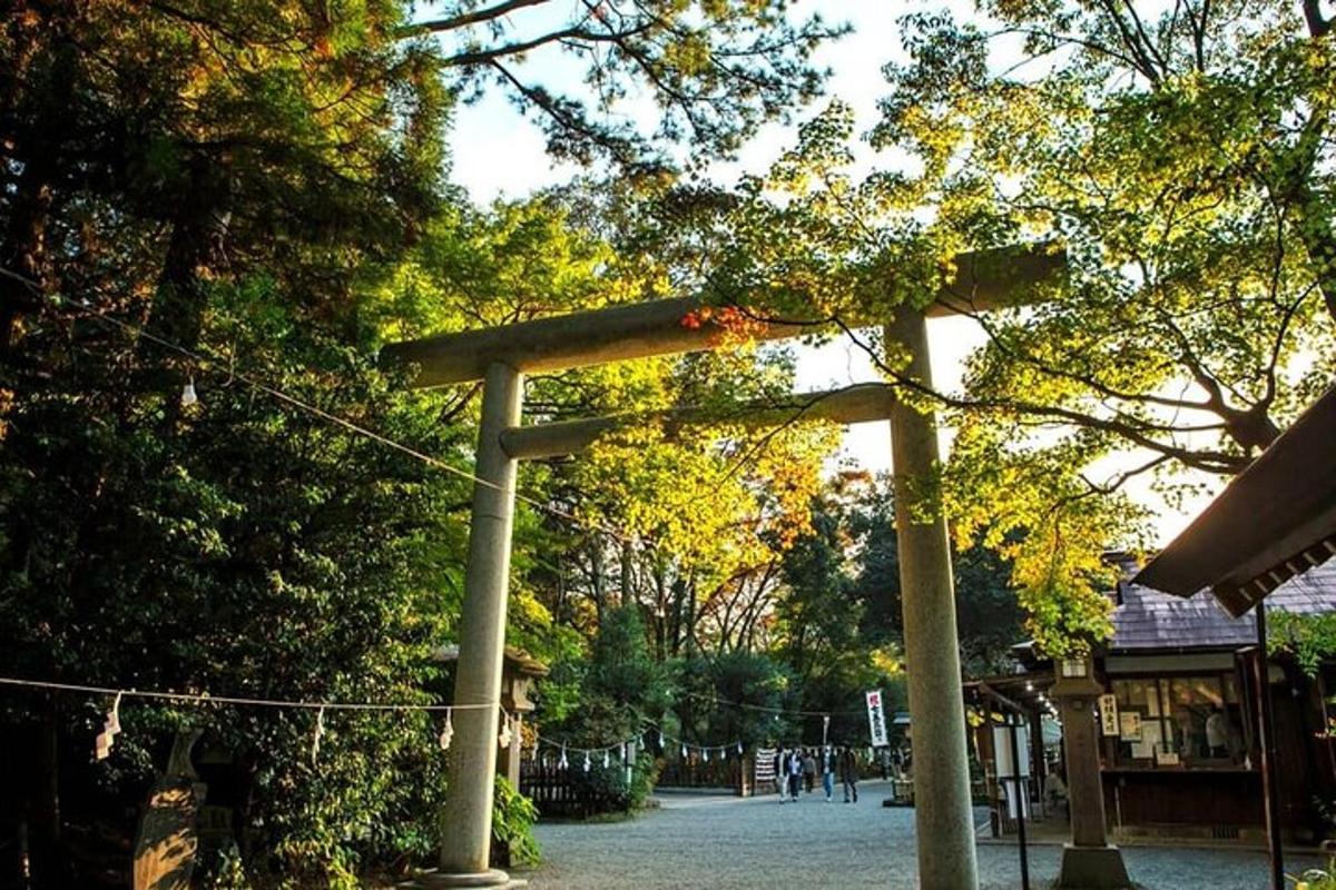 a torii gate in the middle of a street