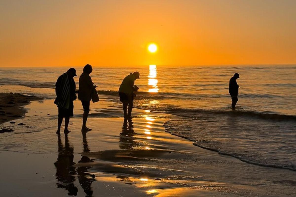 sekumpulan orang berdiri di pantai pada waktu matahari terbenam