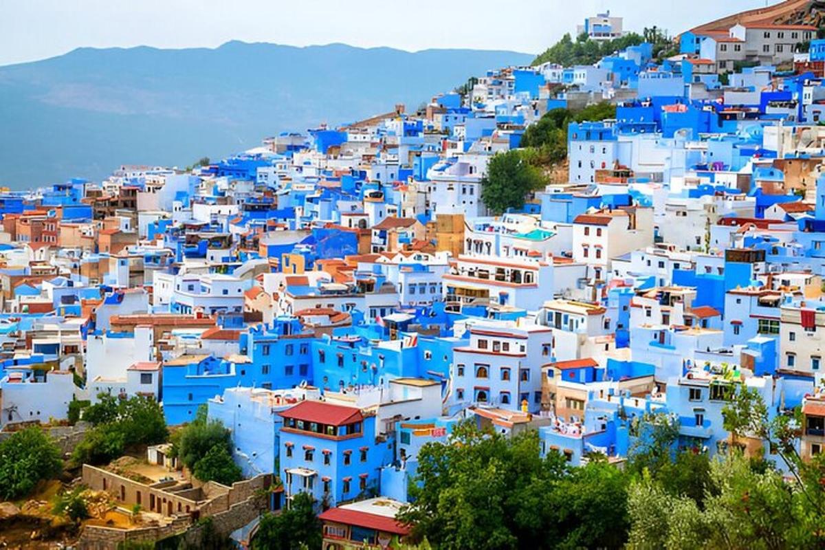 un gruppo di edifici blu e bianchi su una collina
