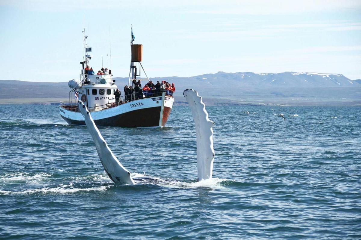 een boot met een groep mensen erop in het water