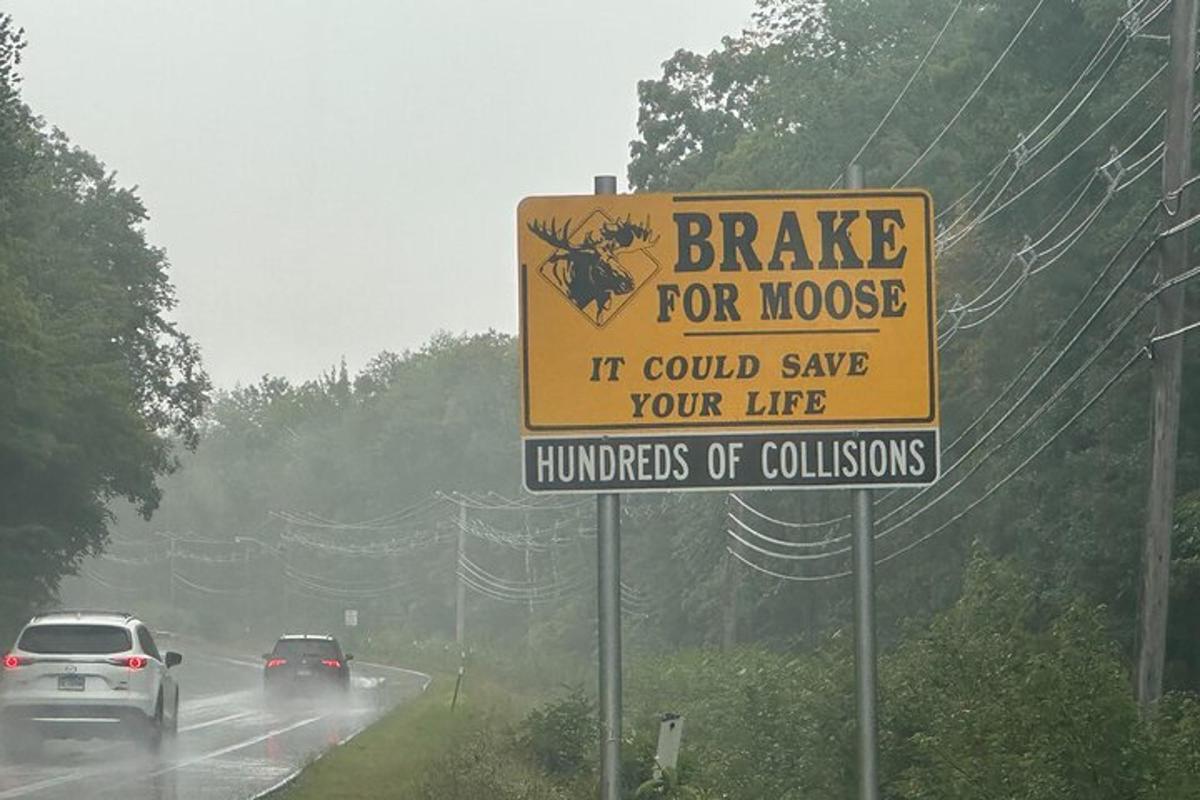a sign that reads brake for mouse if could save your life