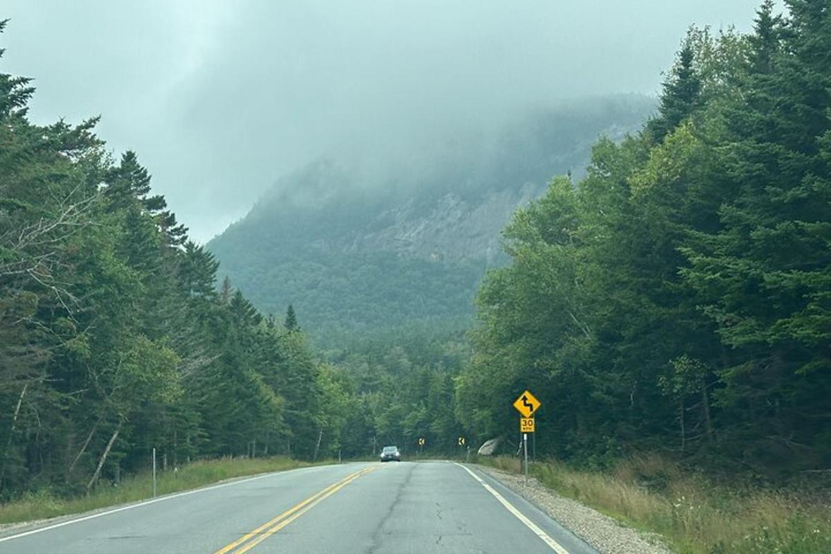 a car is driving down a road with trees