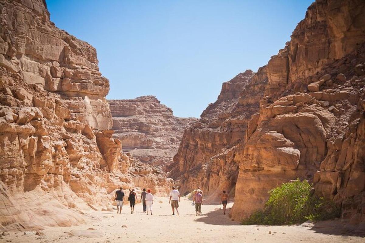 un gruppo di persone che camminano attraverso un canyon