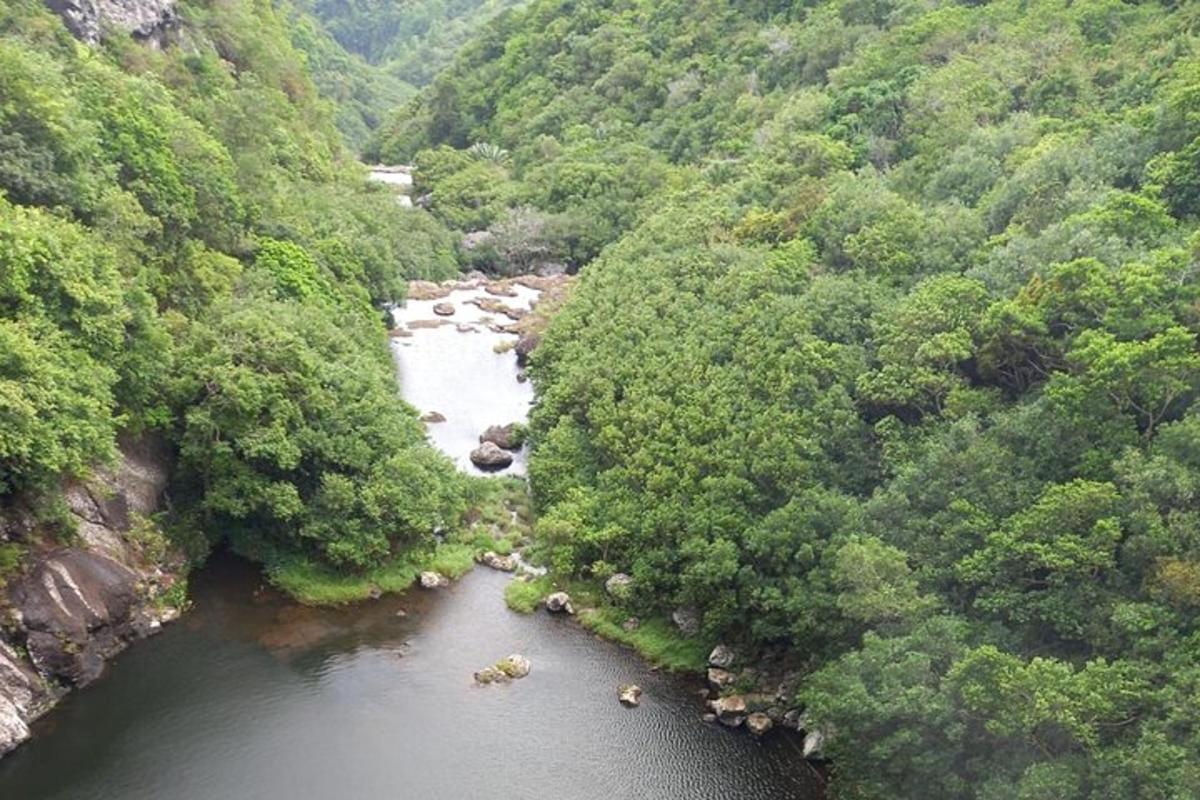 an aerial view of a river in a forest