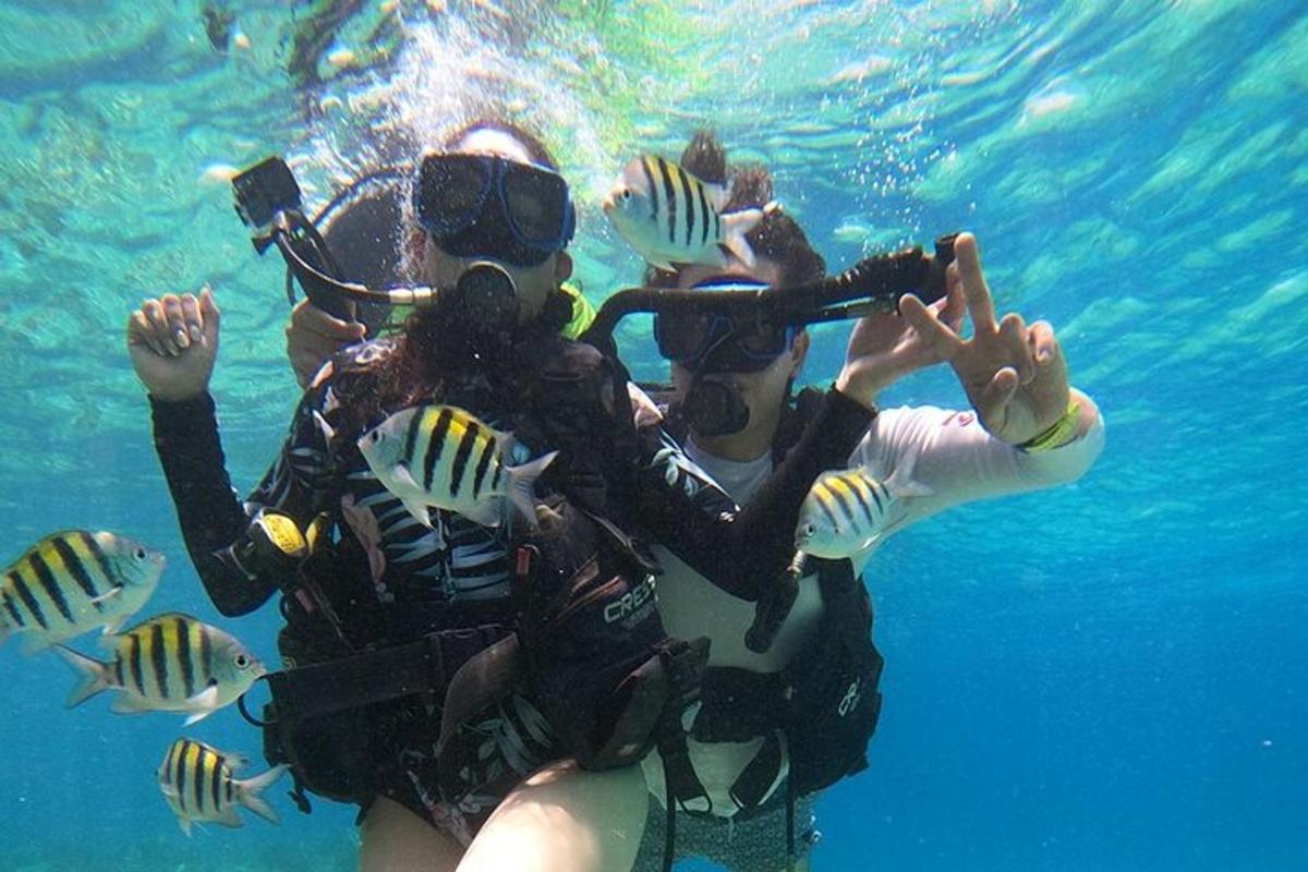 um grupo de pessoas na água com peixes